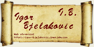 Igor Bjelaković vizit kartica